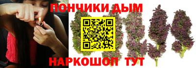 дмт Кингисепп