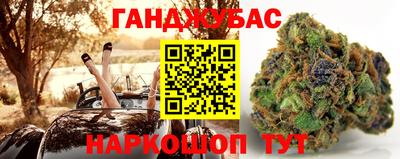 ECSTASY Канаш
