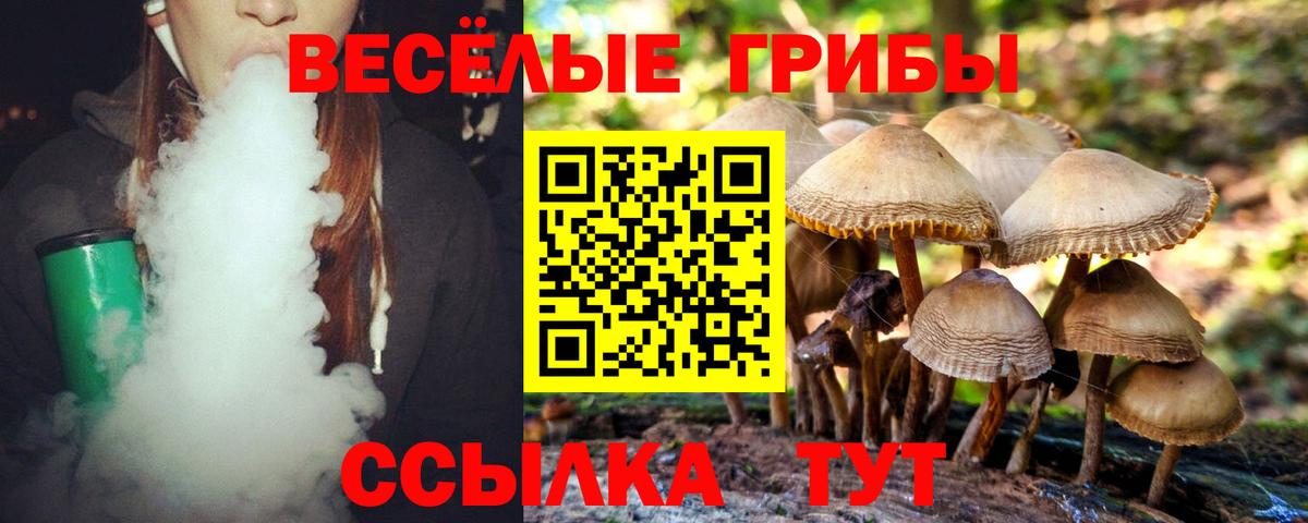 Псилоцибиновые грибы Magic Shrooms  Вход с VPN  Королёв 